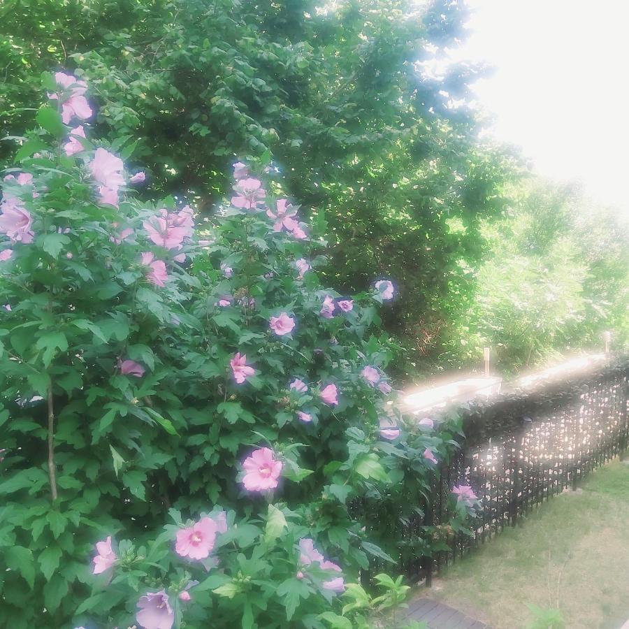 Saint Nicholas Varna Lovely 2 Bedroom Apartment With Sunny Garden Εξωτερικό φωτογραφία